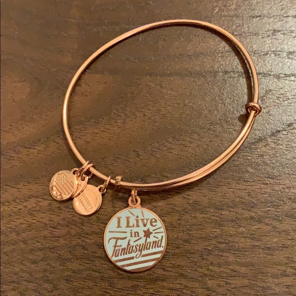 Alex and Ani Disney Bracelet